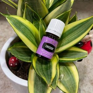 Young Living Envision Essential Oil